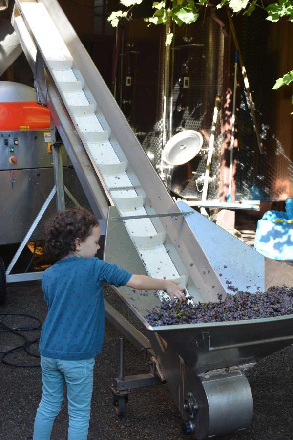 קולמר Chez Cecile Bed And Breakfast Chez Le Vigneron מראה חיצוני תמונה