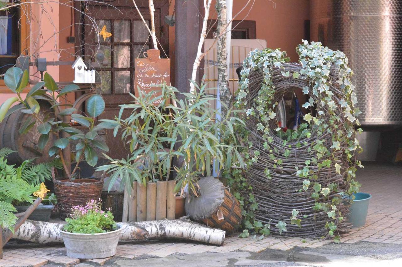 קולמר Chez Cecile Bed And Breakfast Chez Le Vigneron מראה חיצוני תמונה
